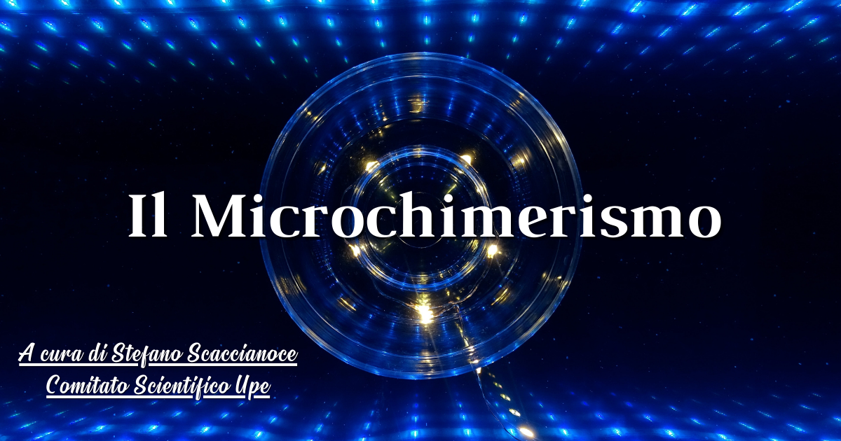 Il Microchimerismo microchimerismo